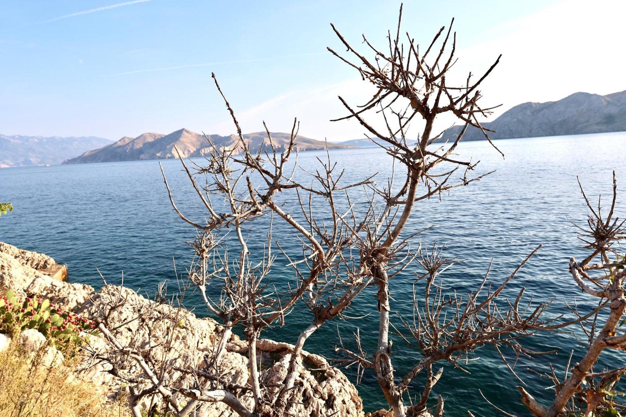 Villa Perla Baska Kültér fotó